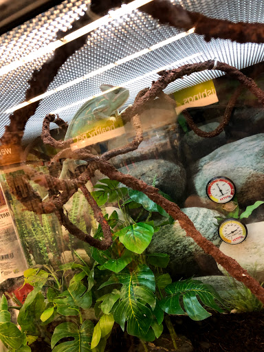 Pet Supply Store «Petco Animal Supplies», reviews and photos, 1255 Raritan Rd #140, Clark, NJ 07066, USA