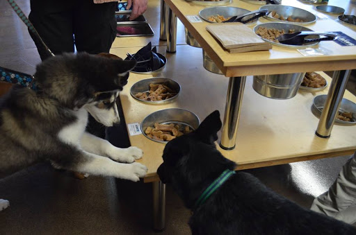 Pet Store «Pet Planet Ridgeview», reviews and photos, 2910 N Power Rd #103, Mesa, AZ 85215, USA