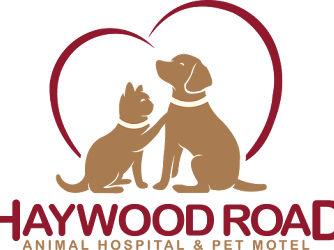 Haywood Road Animal Hospital