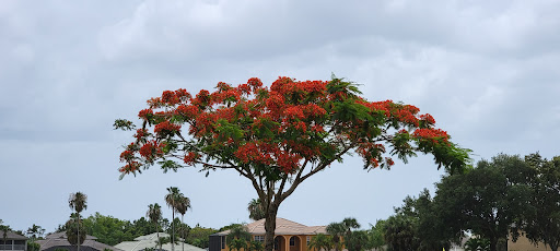 Golf Club «Stoneybrook Golf Club», reviews and photos, 21251 Stoneybrook Golf Blvd, Estero, FL 33928, USA