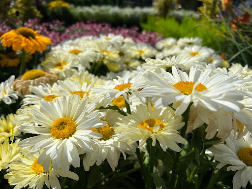 Home Improvement Store «The Home Depot», reviews and photos, 325 120th Ave NE, Bellevue, WA 98005, USA