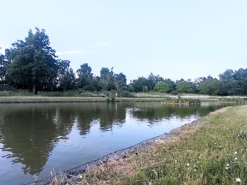 Espace Naturel des Périseaux à Faches-Thumesnil