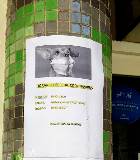 Clínica Veterinaria Impala en Miranda de Ebro