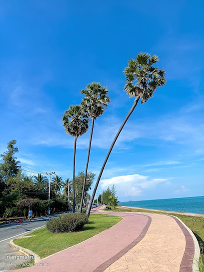 ตาล 3 ต้น ปากน้ำปราณ (Triple Palm Trees Pak Nam Pran)