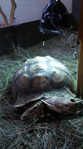 Pet Store «Just Pets», reviews and photos, 393 NY-5, Irving, NY 14081, USA