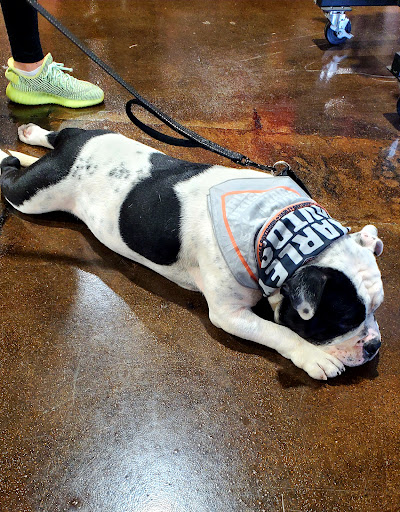 Harley-Davidson Dealer «Wild Fire Harley-Davidson», reviews and photos, 120 W North Ave, Villa Park, IL 60181, USA