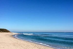 John D. MacArthur Beach State Park image