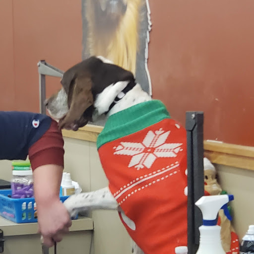 Pet Supply Store «Pet Supplies Plus», reviews and photos, 120 Sara Way, Belle Vernon, PA 15012, USA