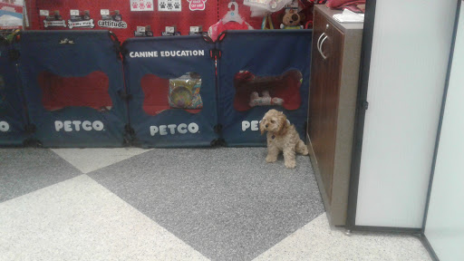 Pet Supply Store «Petco Animal Supplies», reviews and photos, 1450 Twixt Town Rd, Marion, IA 52302, USA