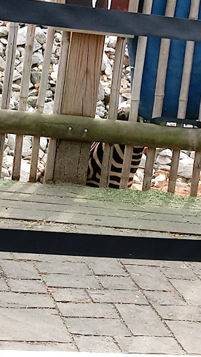 Recreation Center «Clayton County Parks & Recreation», reviews and photos, 2300 State Highway 138, Jonesboro, GA 30236, USA