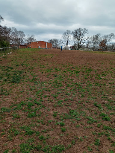 Shelby Dog Park