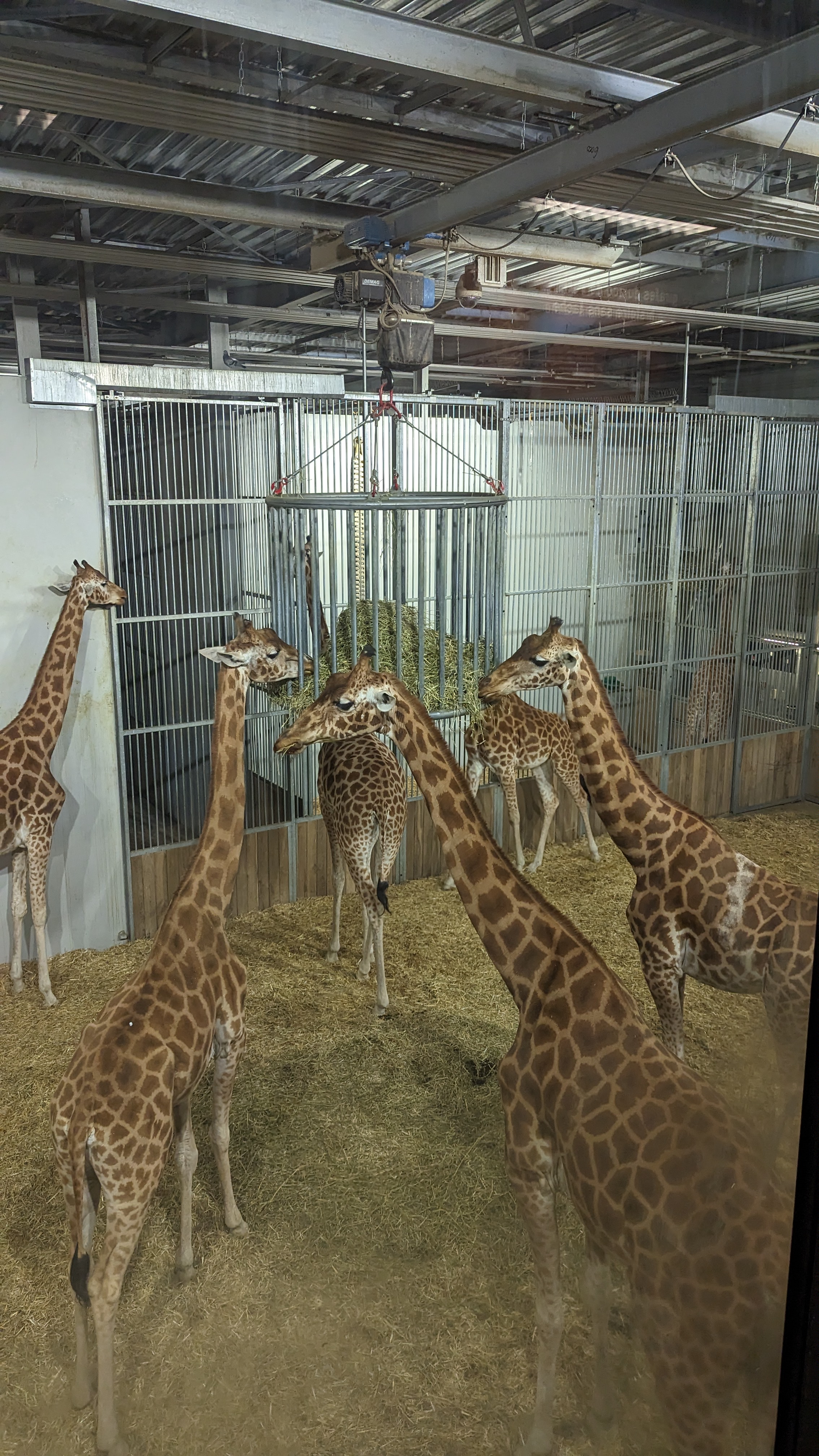 Photo n° 3 de l'avis de Christel.l fait le 29/12/2022 à 15:26