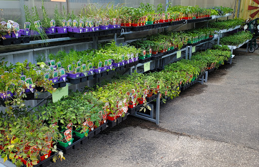 Hardware Store «Scholze Ace Home Center», reviews and photos, 133 County Rd A, Black River Falls, WI 54615, USA