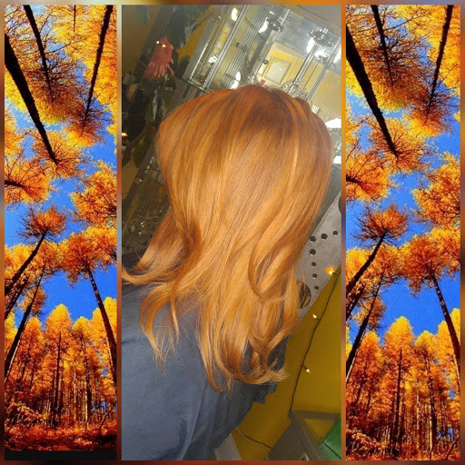 Beauty Salon «Ego Hair Studio», reviews and photos, 540 Andrews Rd, Feasterville-Trevose, PA 19053, USA