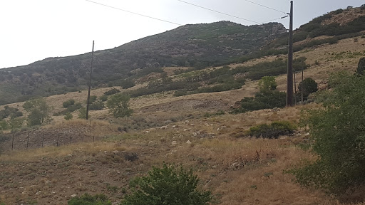 Public Golf Course «Old Mill Golf Course», reviews and photos, 6080 Wasatch Blvd, Holladay, UT 84121, USA