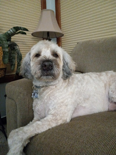 Pet Supply Store «Petco Animal Supplies», reviews and photos, 2255 East Ridge Road, Irondequoit, NY 14622, USA