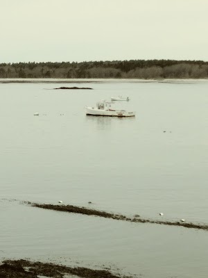 Kettle Cove - photo 74