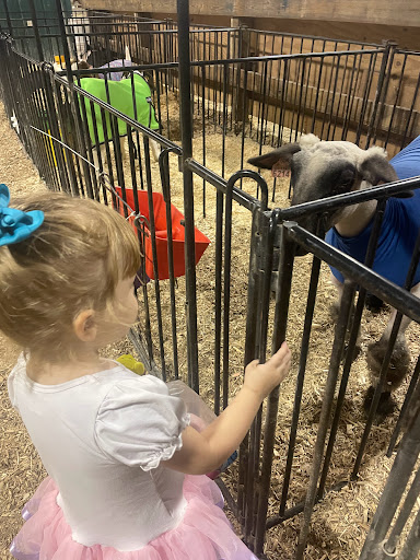 Tourist Attraction «Clinton County Fairgrounds», reviews and photos, 958 W Main St, Wilmington, OH 45177, USA