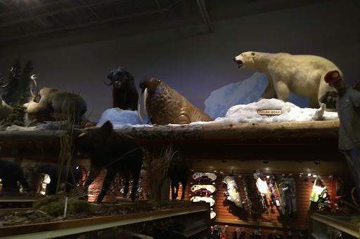 Sporting Goods Store «Bass Pro Shops», reviews and photos, 2501 Bass Pro Dr, Grapevine, TX 76051, USA