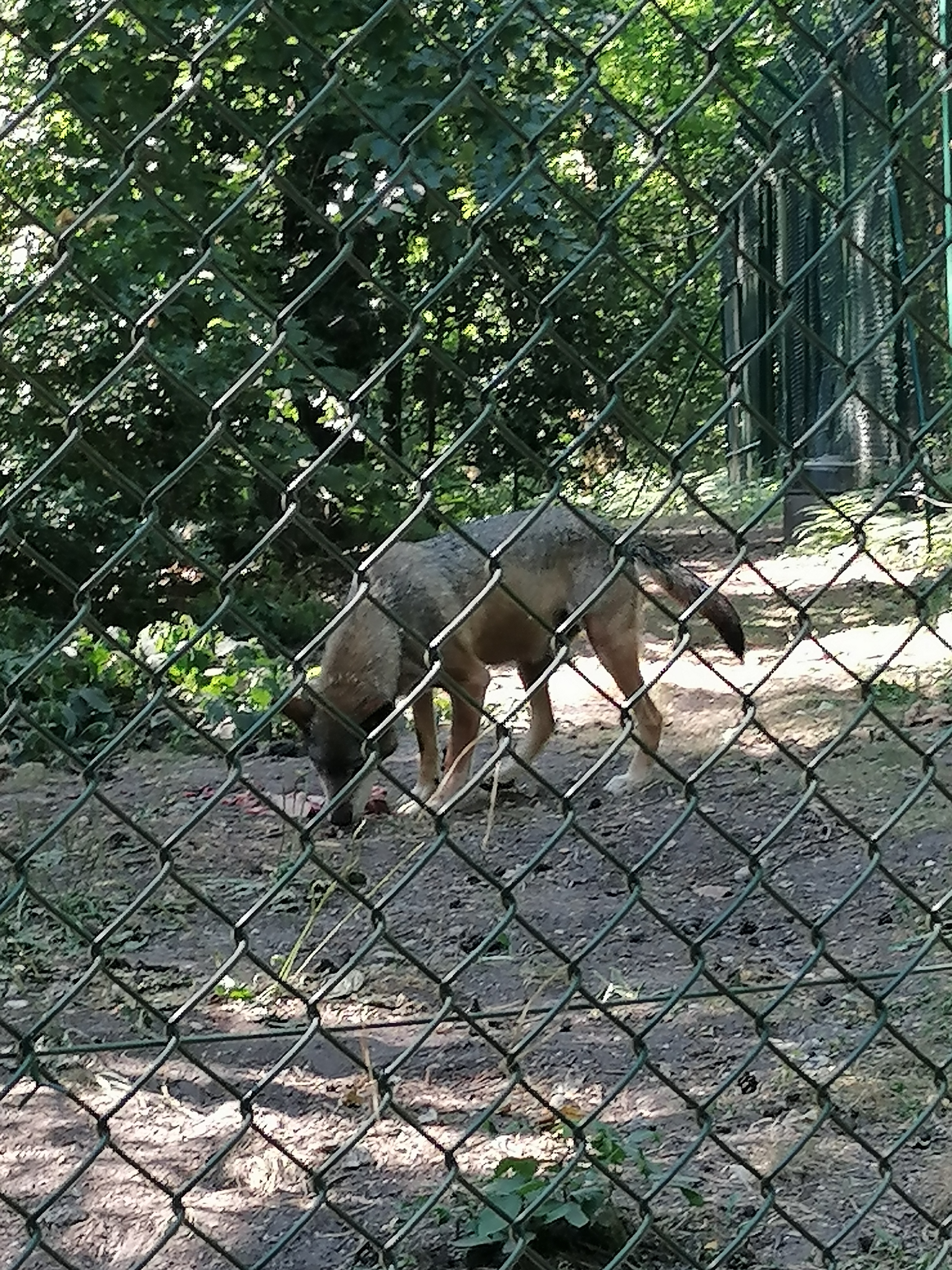 Photo n° 1 de l'avis de Elsa.a fait le 19/07/2022 à 20:08