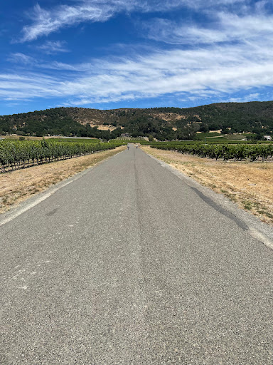 Sonoma Valley Bike Tours & Rentals image