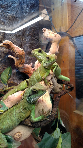 Pet Store «Animal Attraction», reviews and photos, 2518 11th Ave, Greeley, CO 80631, USA