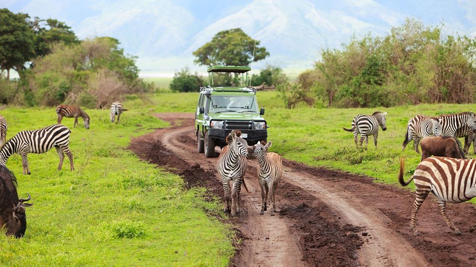 Foot Slopes Tanzania Private Guided Safari Tours