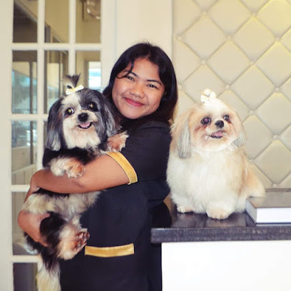 Diva Dog Grooming and Hotel Talisay