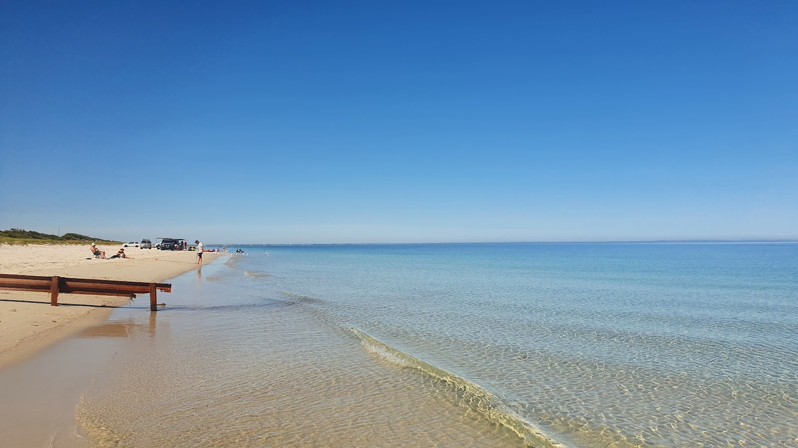 Fotografija Forrest Beach z svetel pesek površino