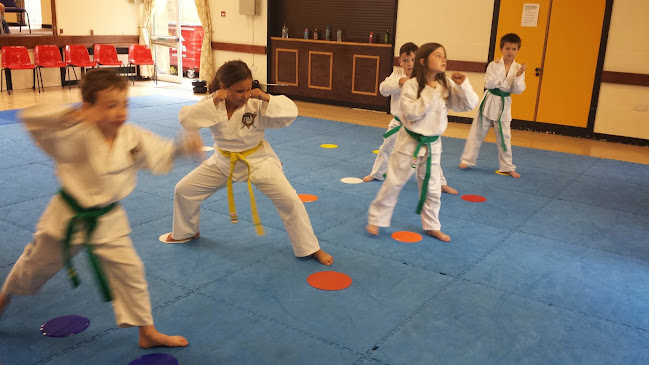 Comments and reviews of Total Martial Arts Premier Academy