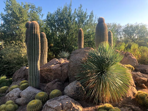 Desert Botanical Garden: Corporate Event and Group Sales