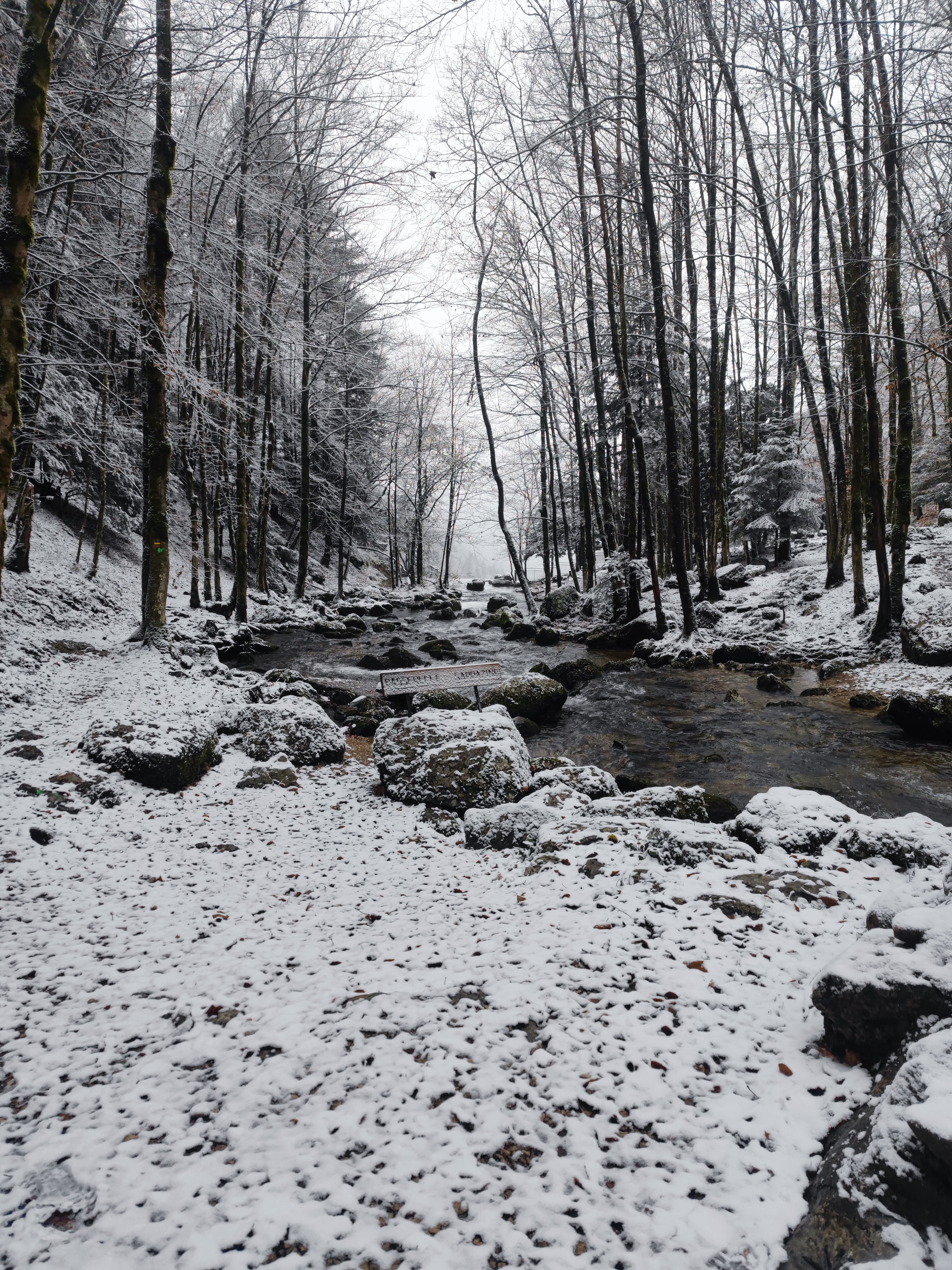 Photo n° 8 de l'avis de Benoît.l fait le 10/12/2022 à 20:27