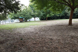 Hampton Park dog park