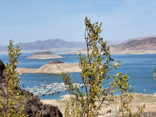 National Park «Lake Mead National Recreation Area Headquarters», reviews and photos, 601 Nevada Way, Boulder City, NV 89005, USA