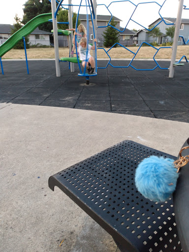 Park «Pacific Park», reviews and photos, 2163 Shadylane Dr, Springfield, OR 97478, USA