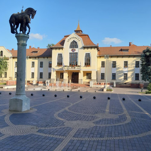 Csongrádi Nagyboldogasszony Plébánia - Csongrád-Csanád