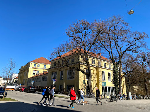 Clinic of Small Animal Surgery and Reproduction