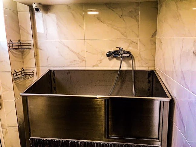 Σχόλια και κριτικές για το Κτηνιατρικό Κέντρο Vet for Pet