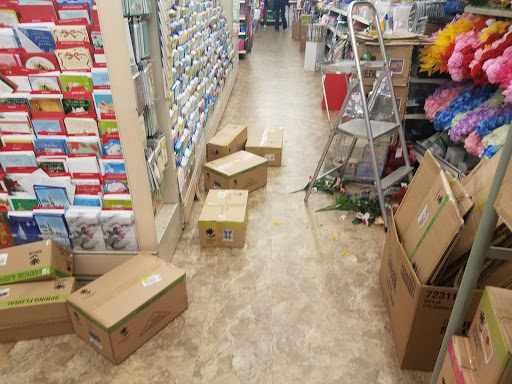 Dollar Store «Dollar Tree», reviews and photos, 1243 E Higgins Rd, Schaumburg, IL 60173, USA