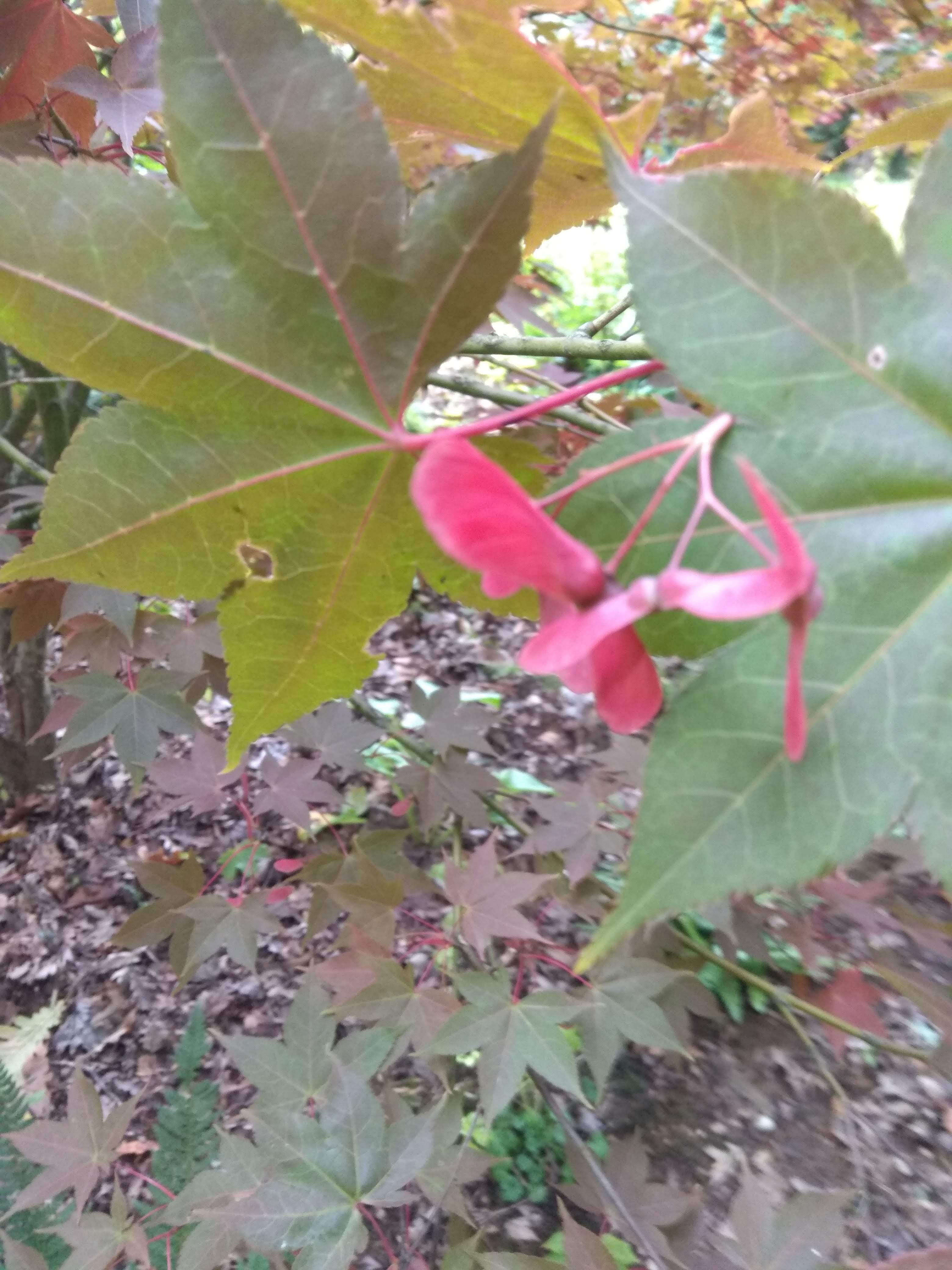 Photo n° 6 de l'avis de marietherese.a fait le 08/10/2020 à 18:57