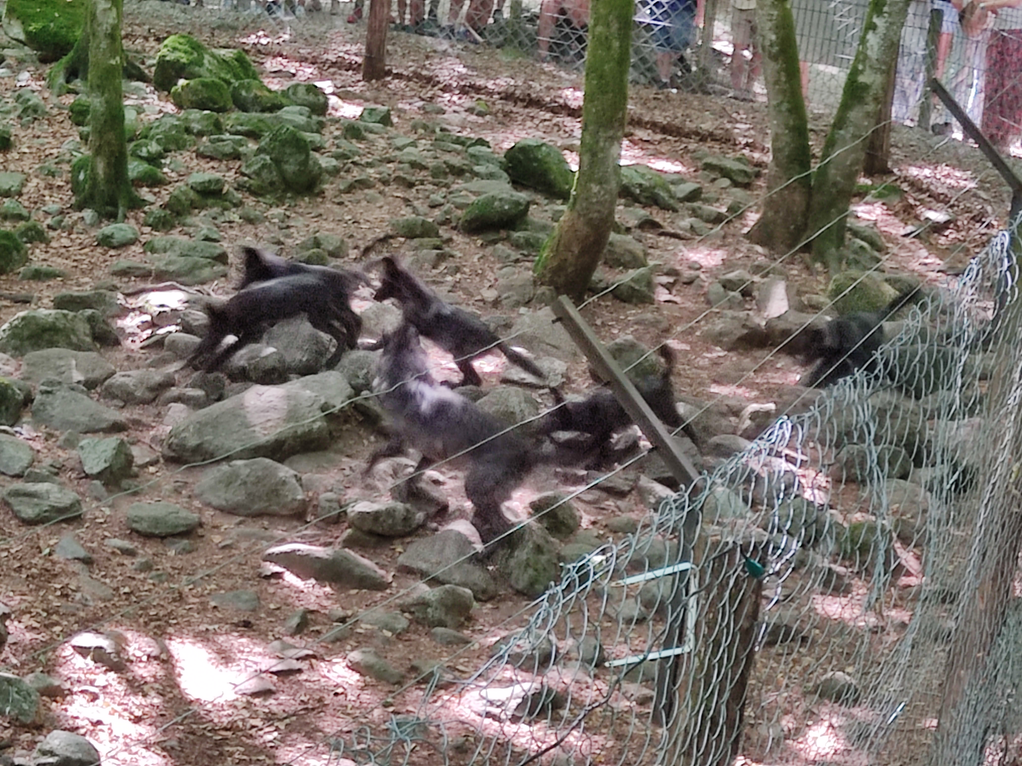 Photo n° 1 de l'avis de Delphine.e fait le 17/08/2022 à 19:26