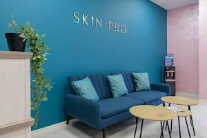 Skin Pro image