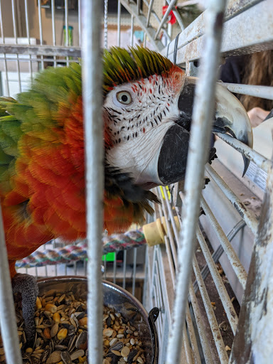 Pet Supply Store «The Village Pet Shoppe, LLC», reviews and photos, 1150 Carlisle St, Hanover, PA 17331, USA