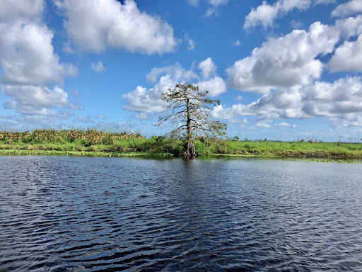 Tourist Attraction «Twister Airboat Rides», reviews and photos, 8199 W King St, Cocoa, FL 32926, USA