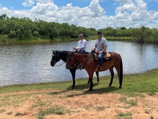 Horse trainer Abilene