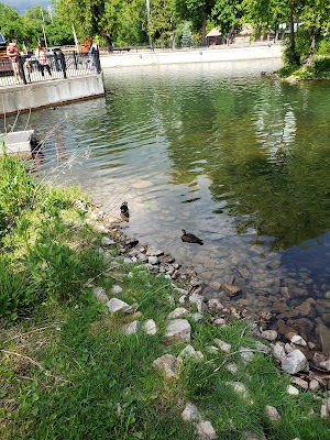 City Park - photo 16