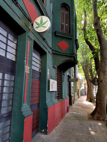 Museo del Cannabis