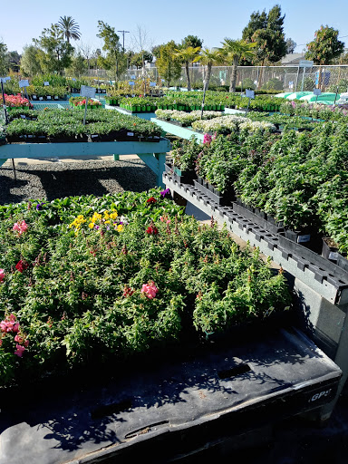 Terra Bella Nursery, Inc. image