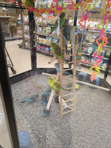 Pet Supply Store «Petco Animal Supplies», reviews and photos, 1753 St Lucie W Blvd, Port St Lucie, FL 34986, USA