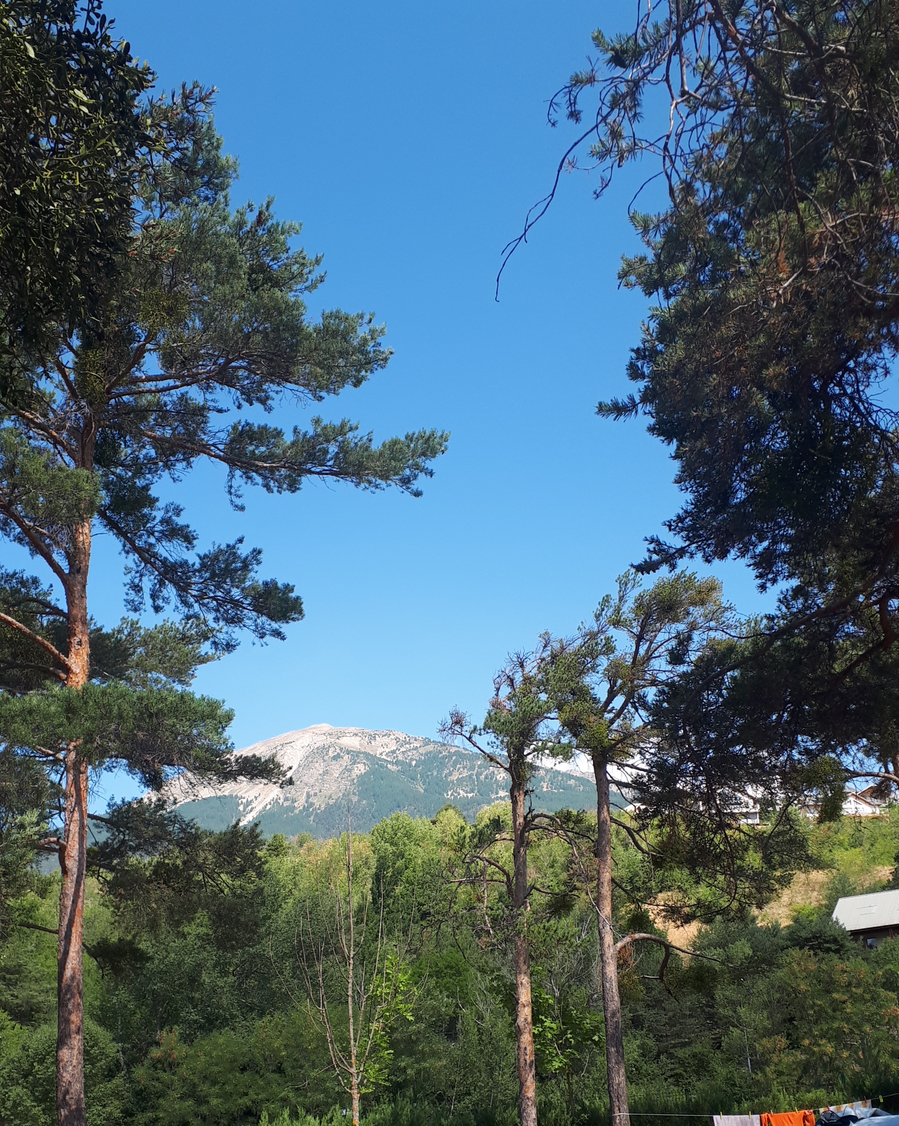 Photo n° 3 de l'avis de Angélique.e fait le 16/08/2022 à 12:04